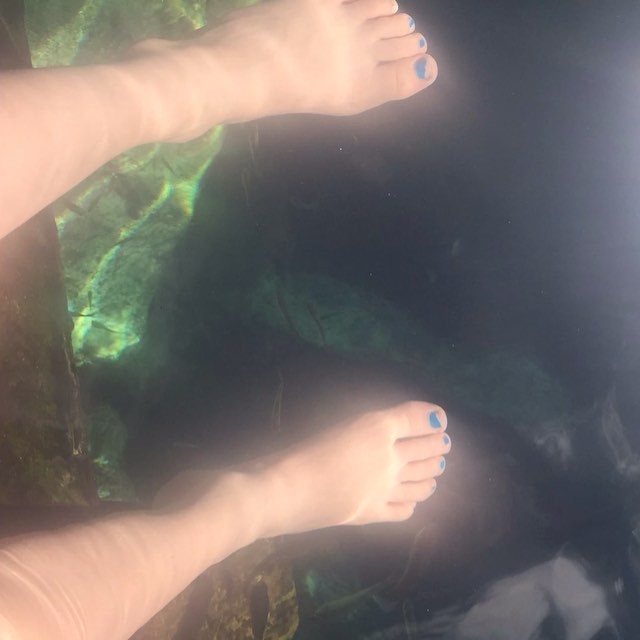 Amy Carlson Feet