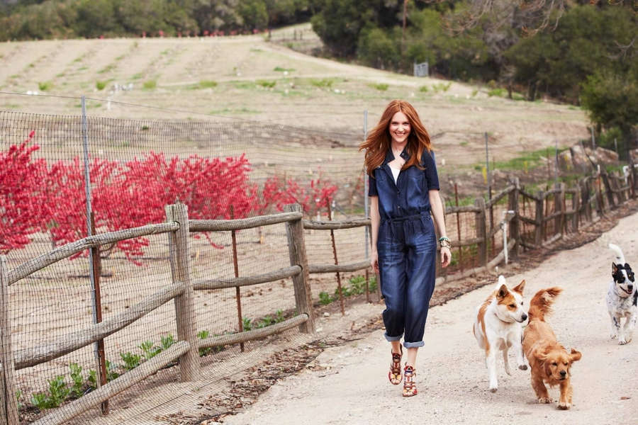 Darby Stanchfield Feet. 