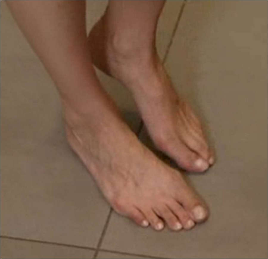 Funda Vanroy Feet
