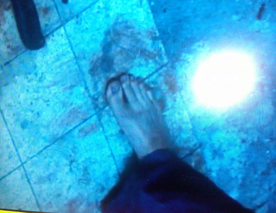 Shawnee Smith Feet