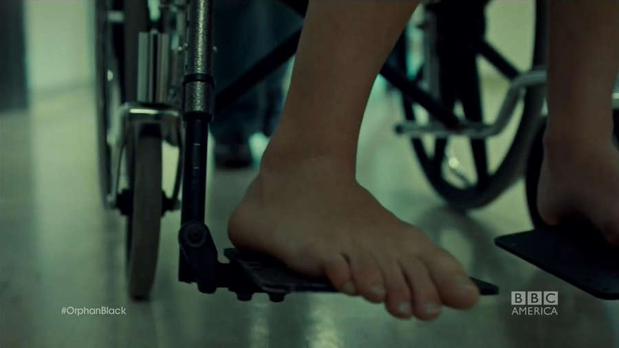 Tatiana Maslany Feet