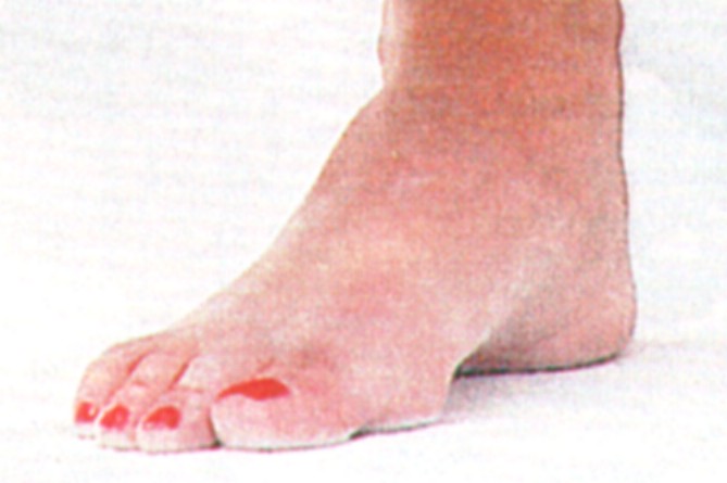 Randi Ingerman Feet