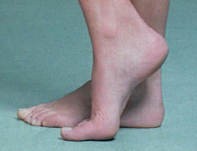Leticia Birkheuer Feet