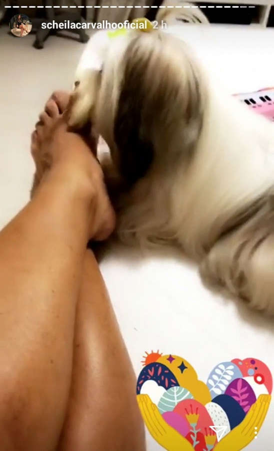 Scheila Carvalho Feet