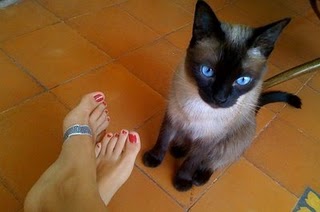 Luisa Micheletti Feet