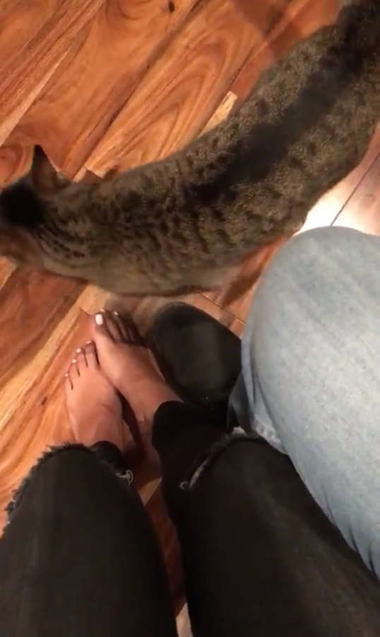 Ana Cheri Feet