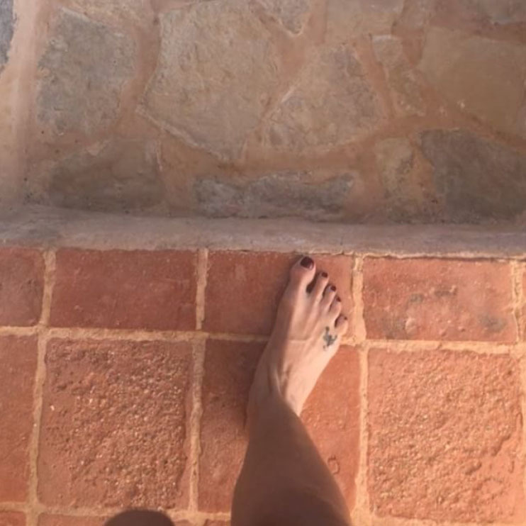 Luciana Gimenez Feet