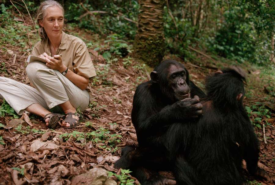 Jane Goodall Feet