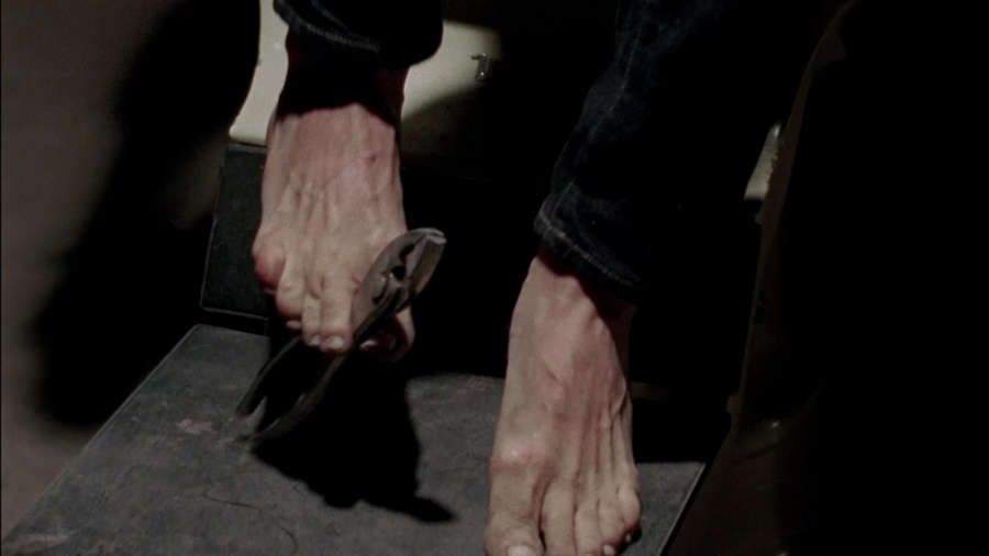 Laurie Holden Feet