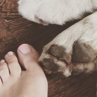 Katarina Cas Feet
