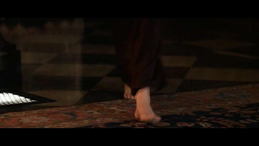 Connie Nielsen Feet