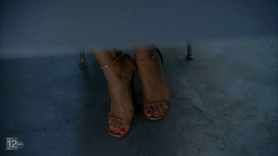 Vanessa Williams Feet. 