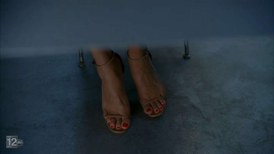 Vanessa Williams Feet