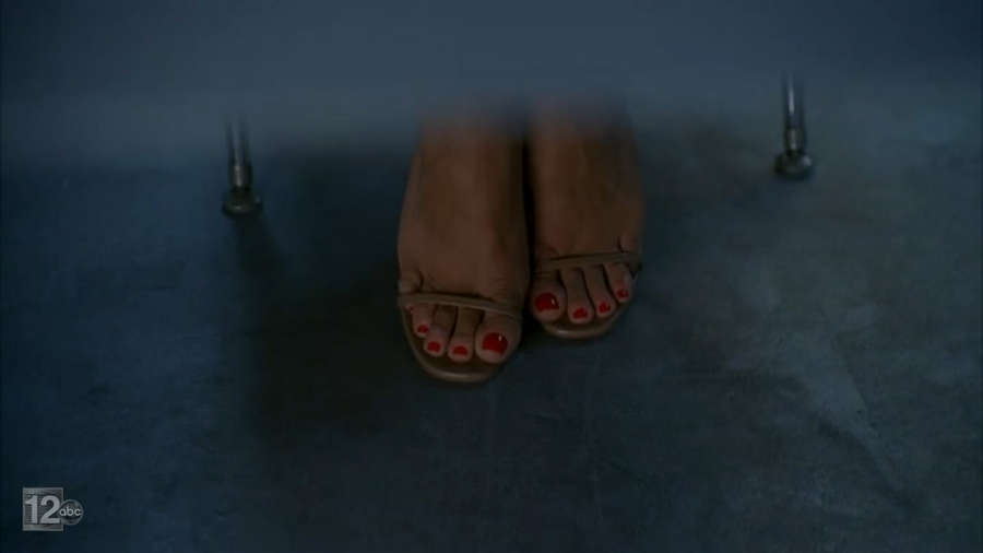 Vanessa Williams Feet