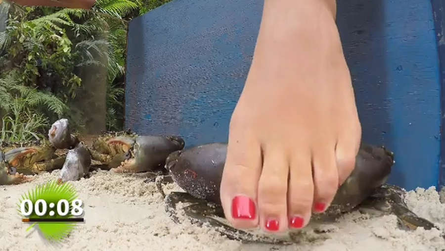 Sophia Vegas Feet