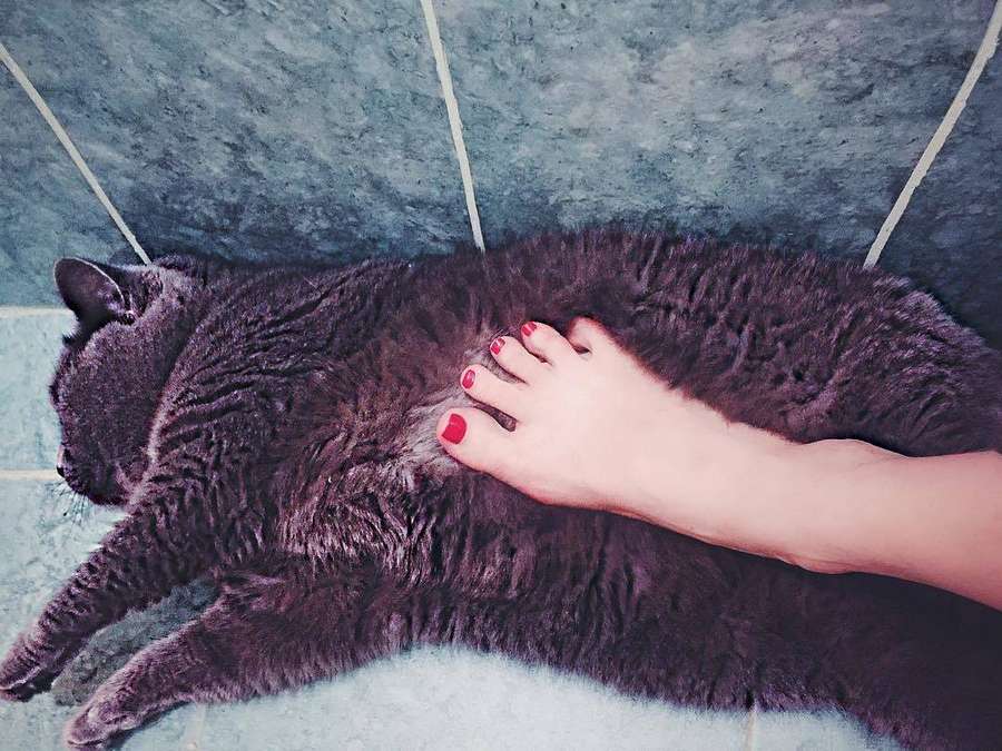 Ekaterina Malikova Feet