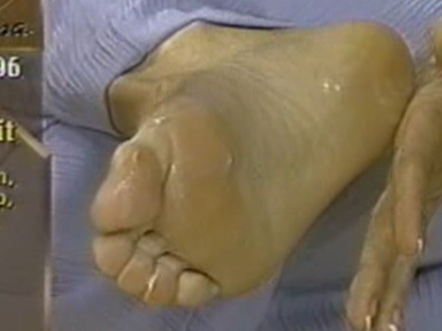 Vanna White Feet