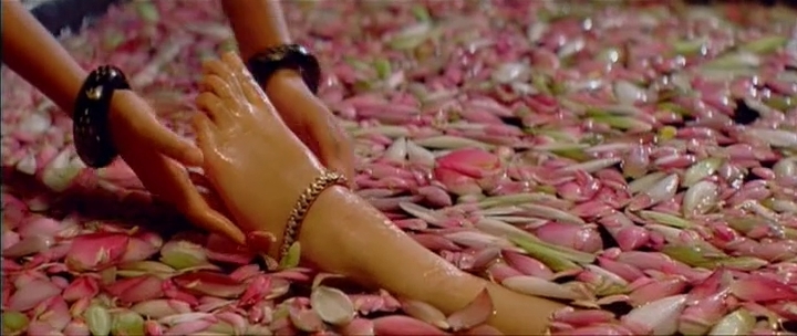 Pooja Umashankar Feet