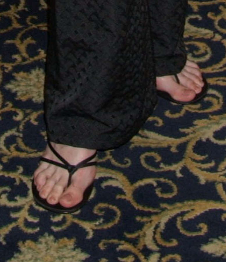 Sarah Wayne Callies Feet. 