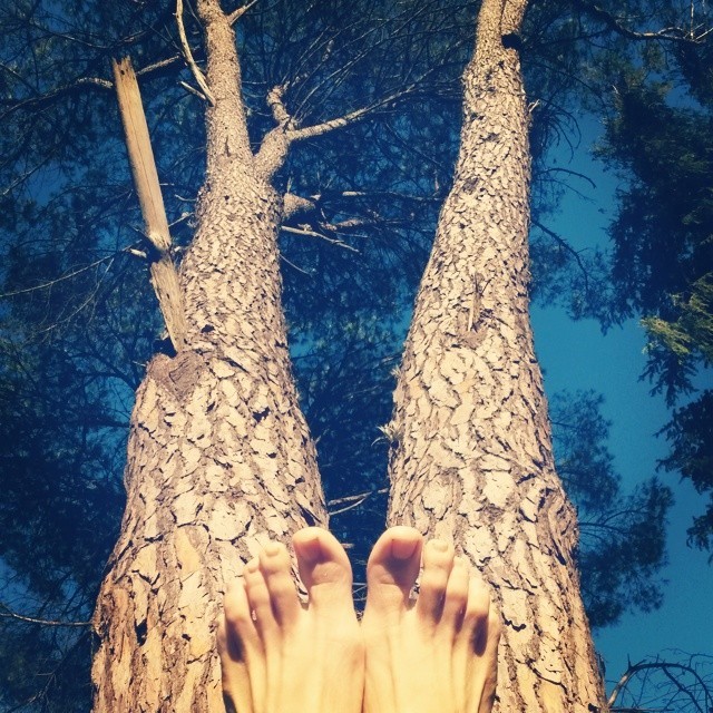 Carolina Pelleritti Feet