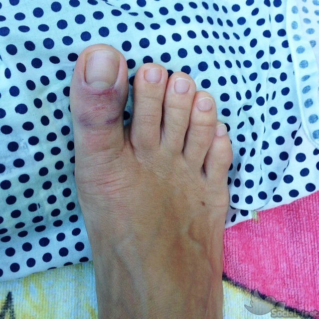 Katia Pedrotti Feet