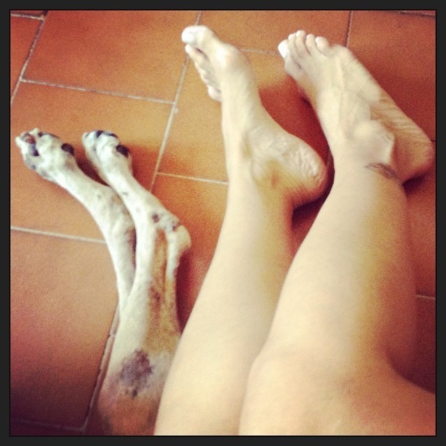 Arlette Torres Feet