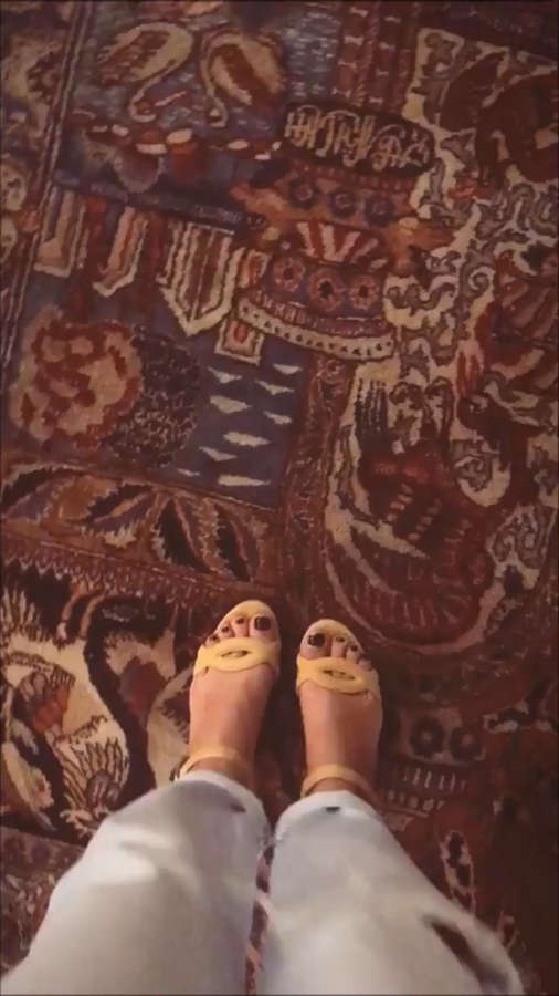 Suzana Pires Feet