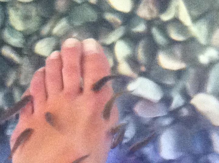 Anabela Moreira Feet