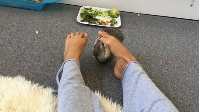 Julia Tyson Gilas Feet