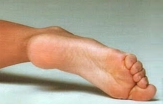 Carolina Ferraz Feet