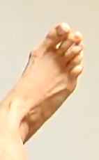 Lisa Donovan Feet
