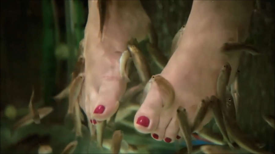 Titi Muller Feet