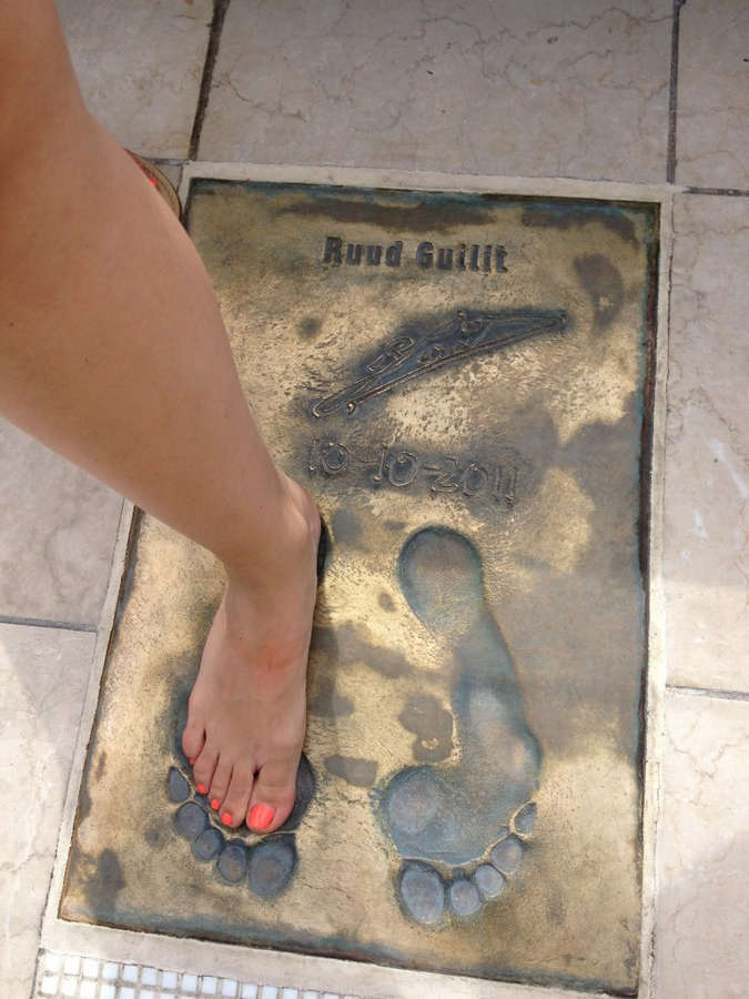 Nicolette Van Dam Feet