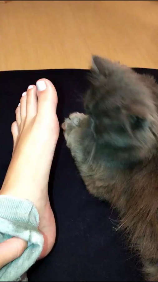 Bianca Anchieta Feet