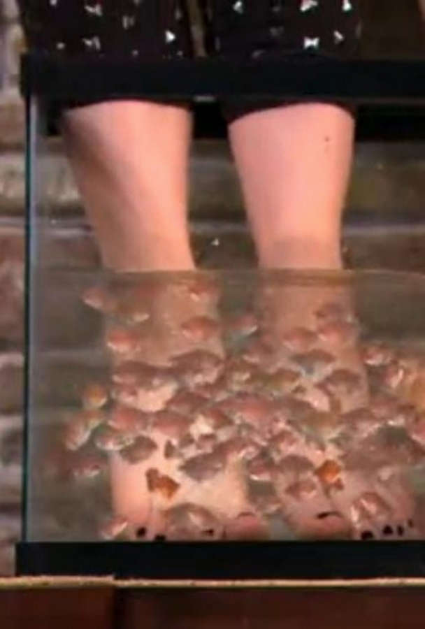 Elizabeth Gillies Feet