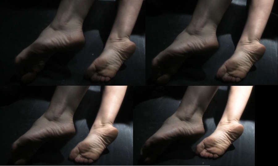 Erica Durance Feet