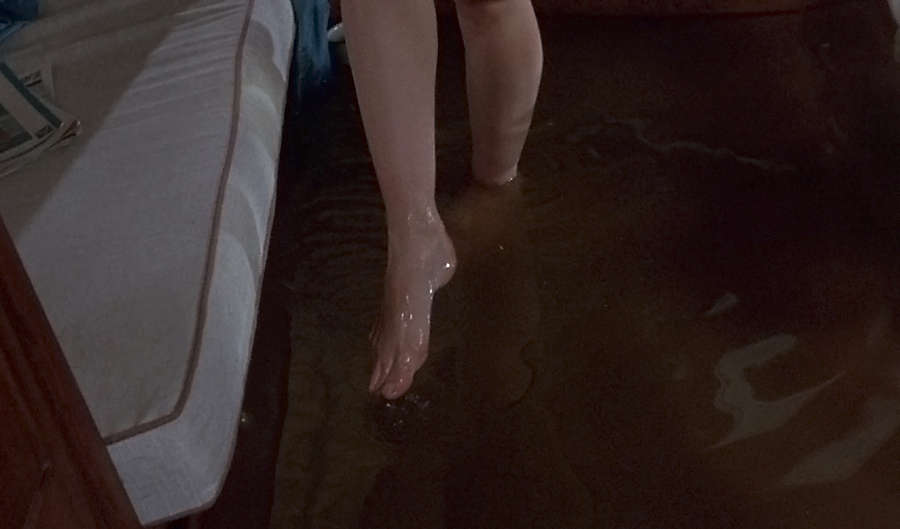 Leslie Caron Feet