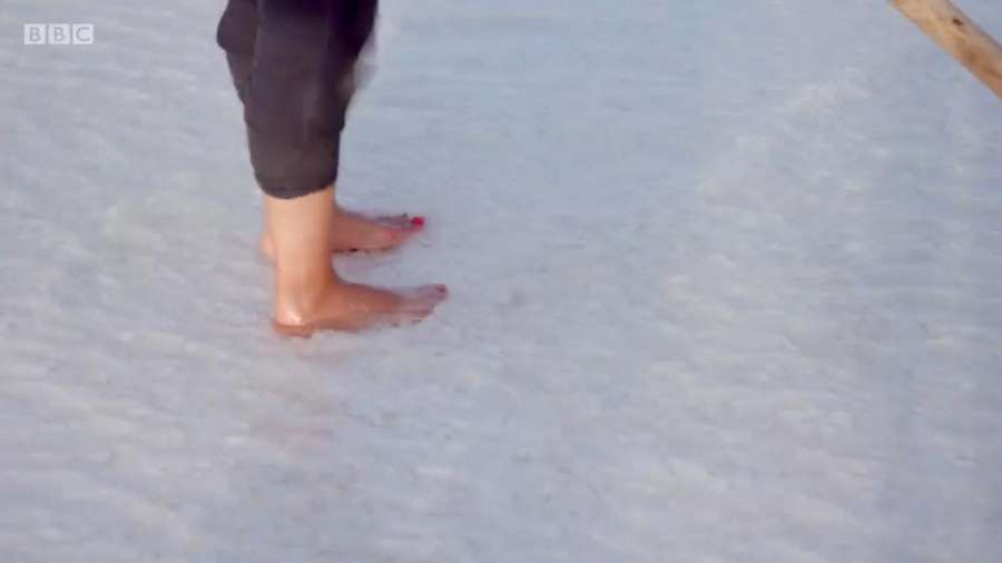 Babita Sharma Feet