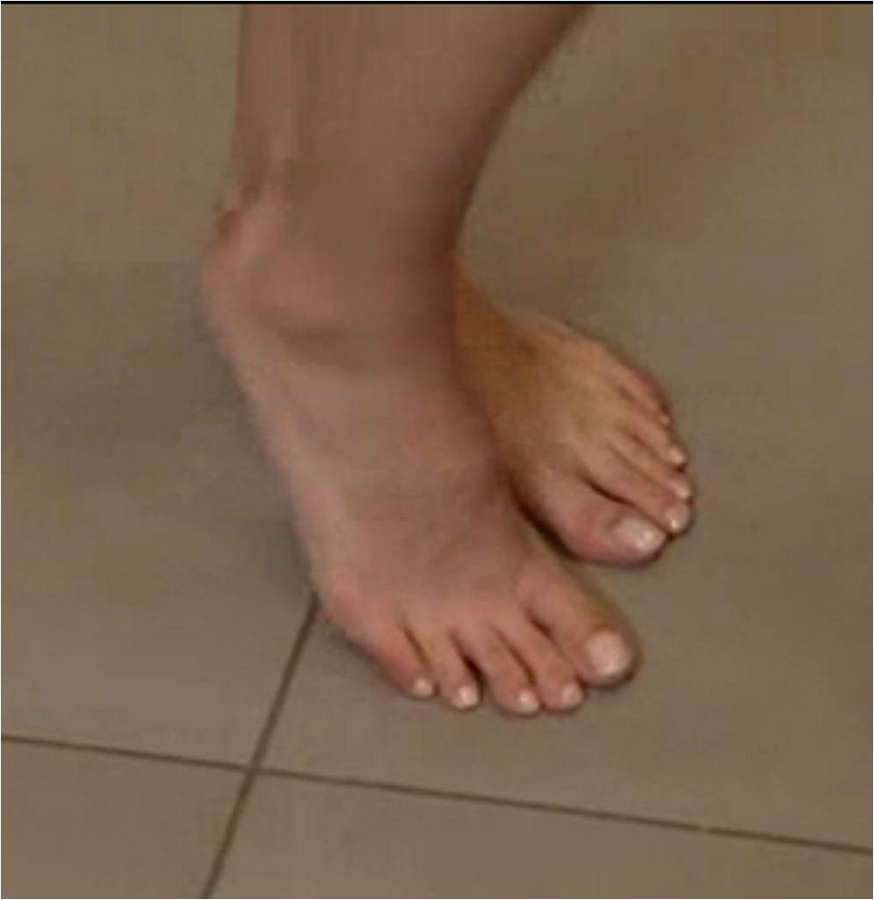 Funda Vanroy Feet