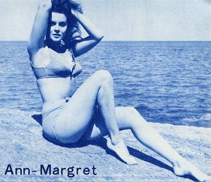 Ann Margret Feet