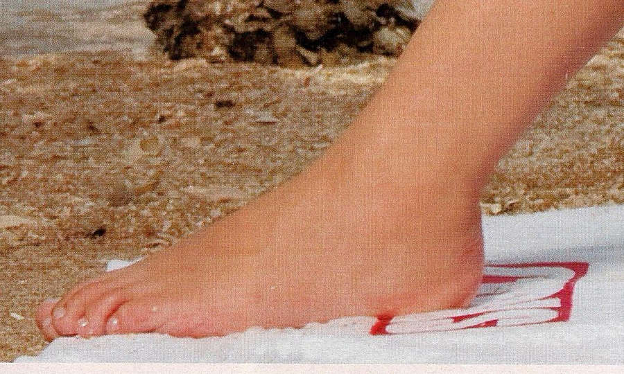 Adriana Birolli Feet