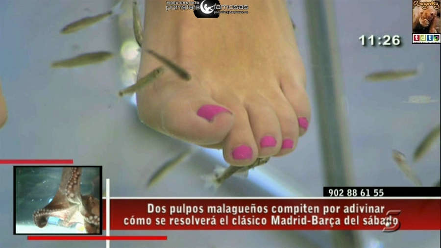 Cristina Tarrega Feet