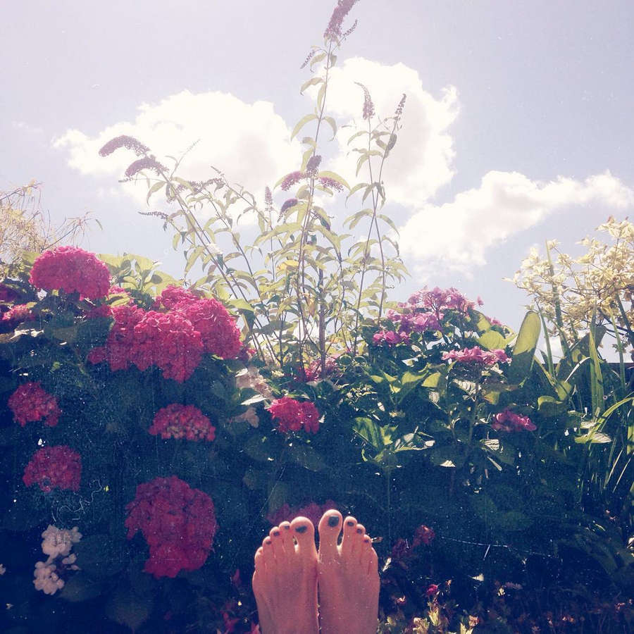 Sarah Chronis Feet