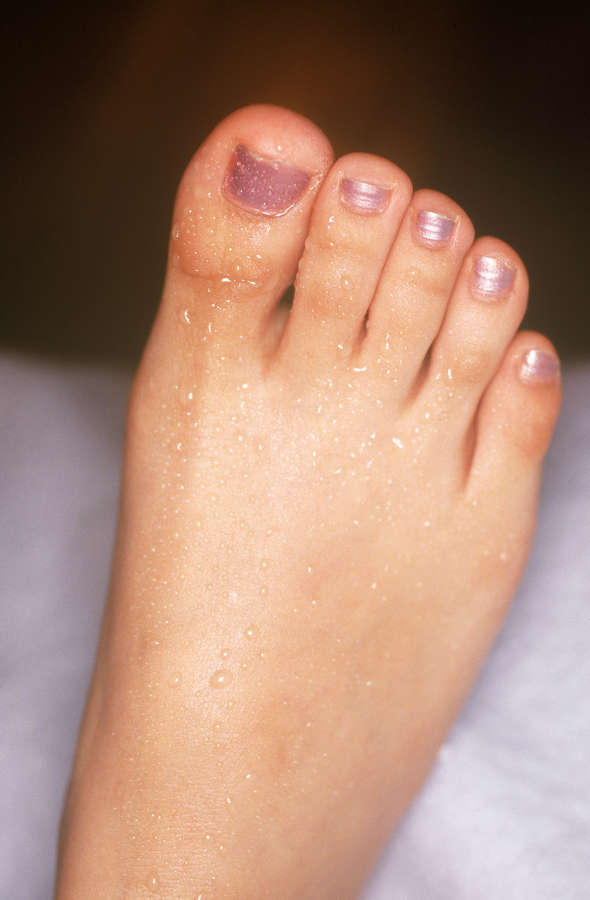 Sola Aoi Feet