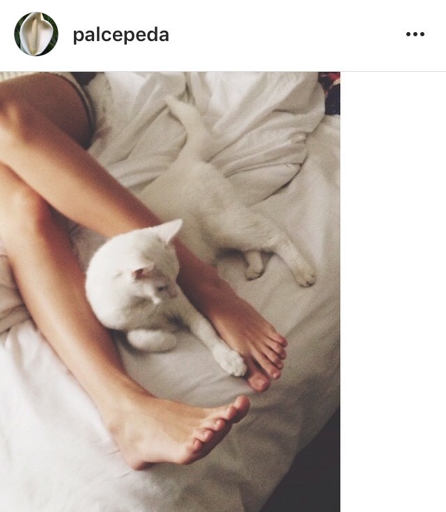 Paloma Cepeda Feet