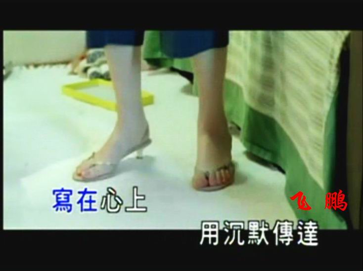Shu Shen Hsiao Feet