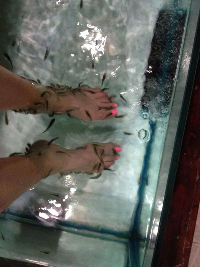 Brittany Boddington Feet