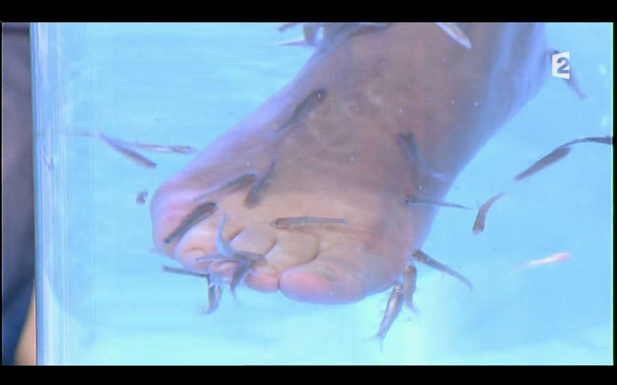 Lara Fabian Feet