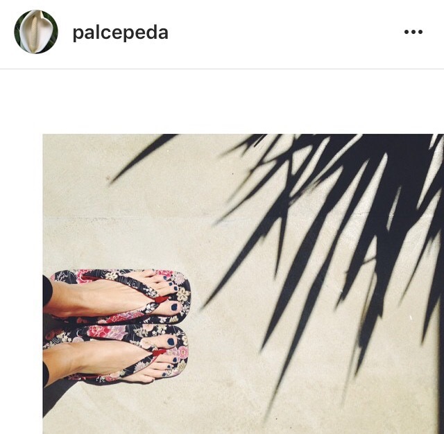 Paloma Cepeda Feet
