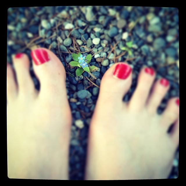 Bridget ONeill Feet